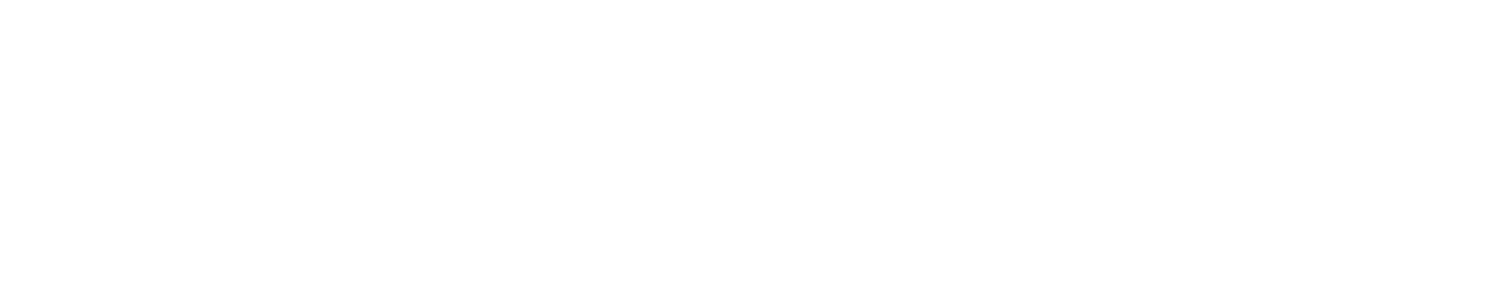 Sürat Lojistik Logo